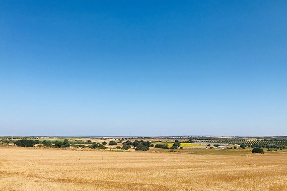 alentejo