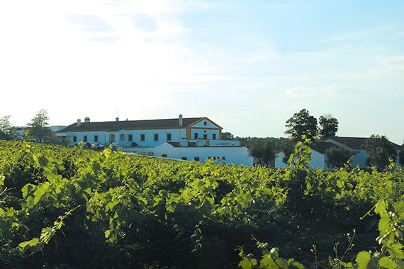 alentejo