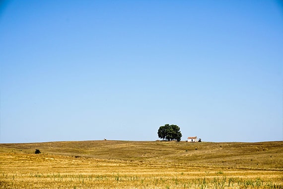 alentejo