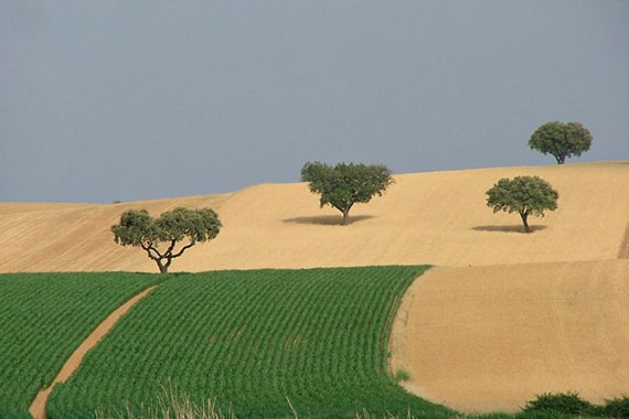 alentejo