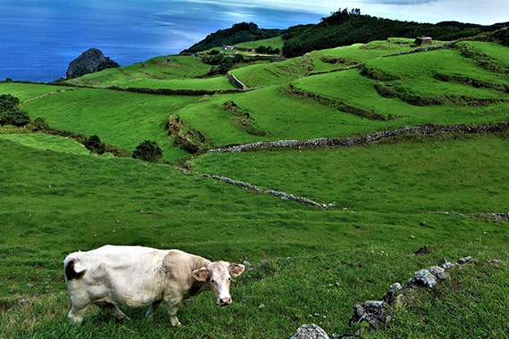 açores