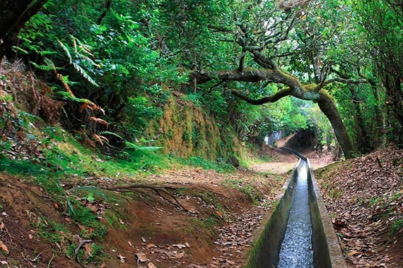 lisboa-madeira