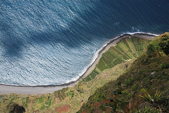 madeira