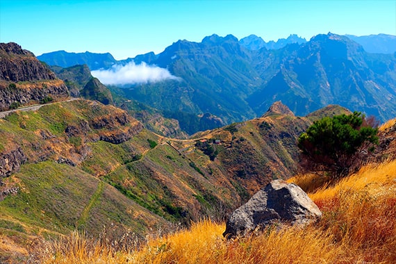 madeira